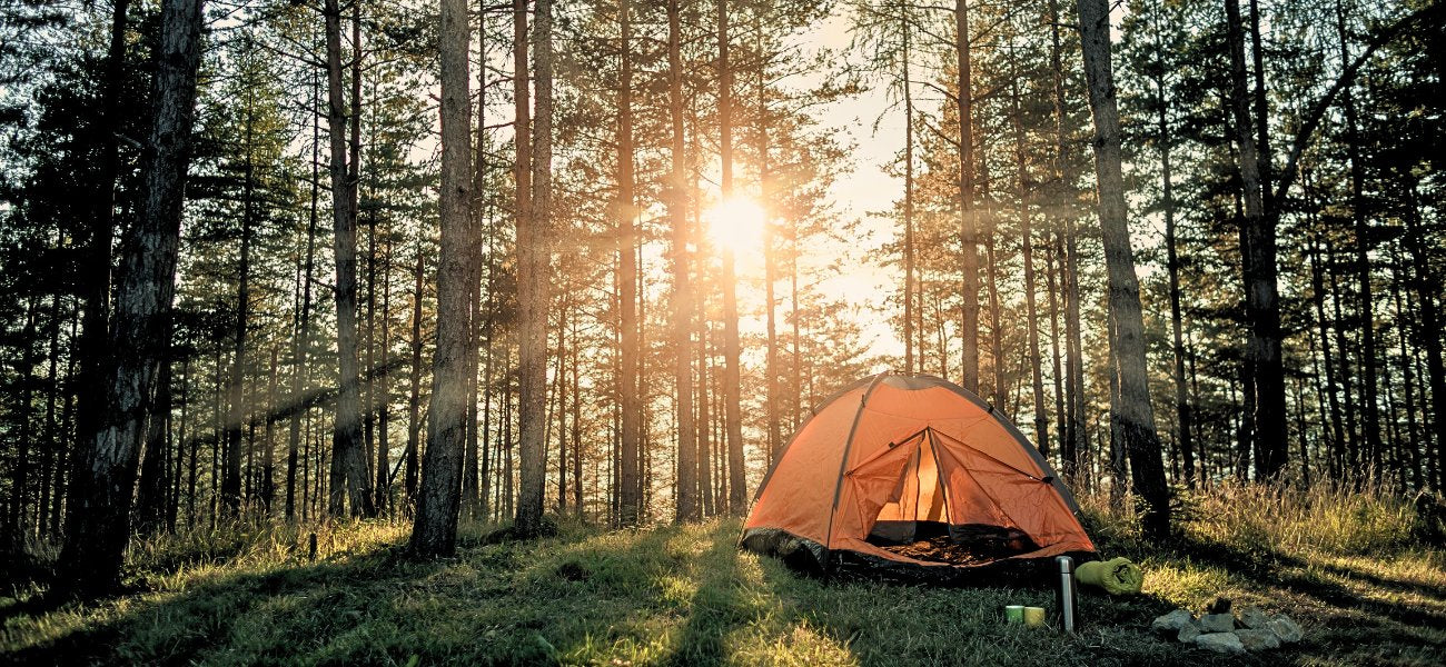 Camping Collection